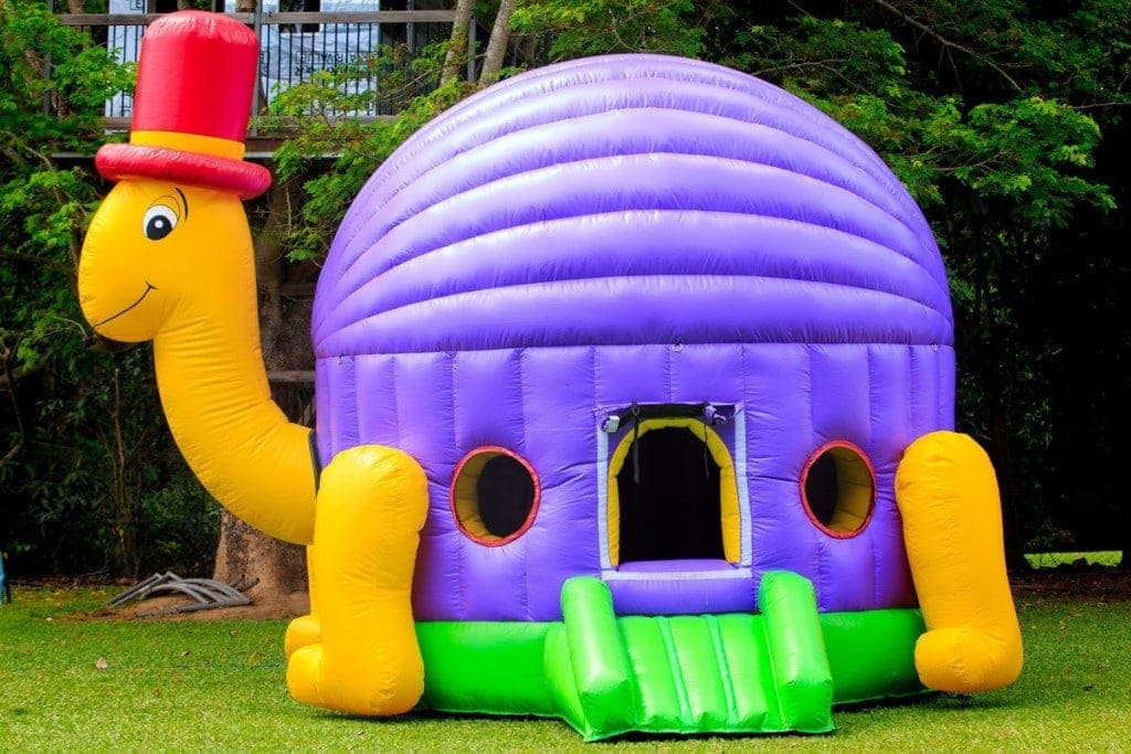 Frozen Jumping Castle Jumping Jims